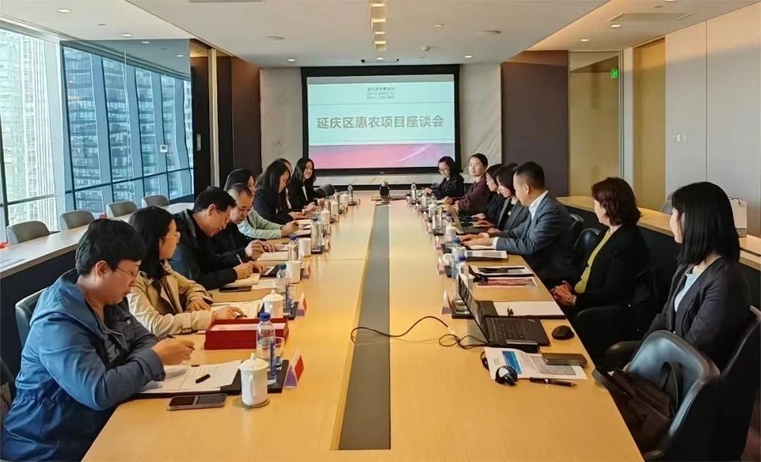 金杜会议现场.jpg